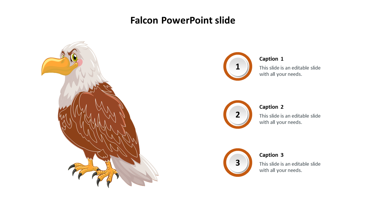Fabulous Falcon PowerPoint Slide Design Presentation